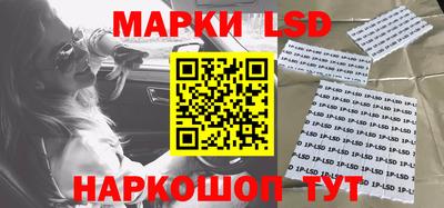 гидра Будённовск