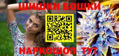 гидра Будённовск