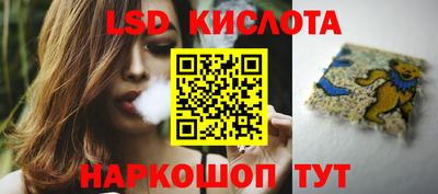 гидра Будённовск